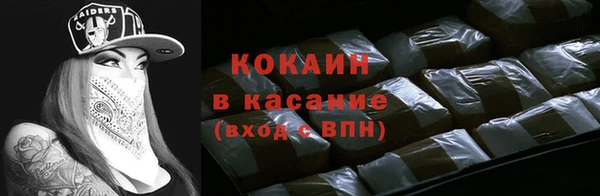 ешки Алексин