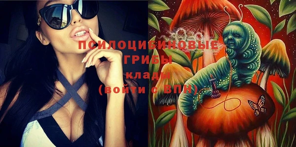 ешки Алексин