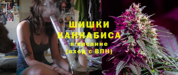 прущий лед Пересвет