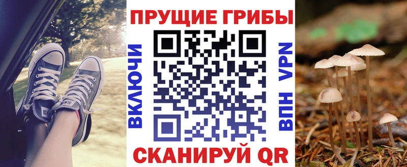 Псилоцибиновые грибы Psilocybe Комсомольск
